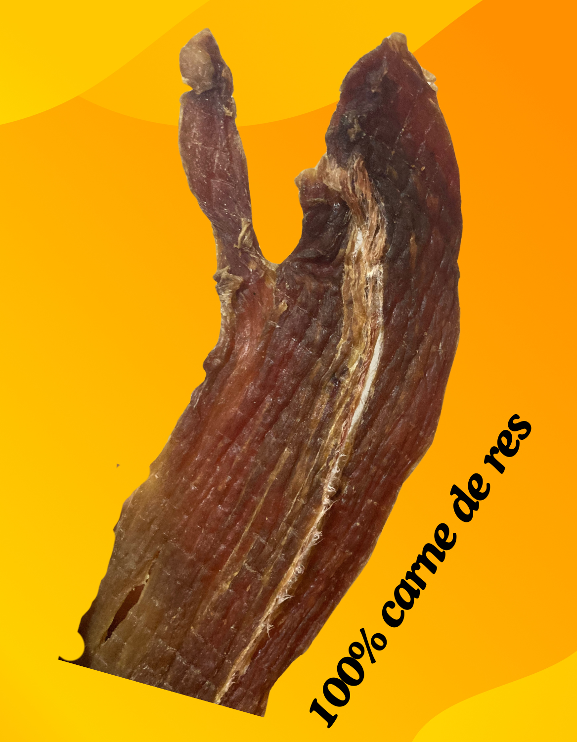 Carne Seca sonorense