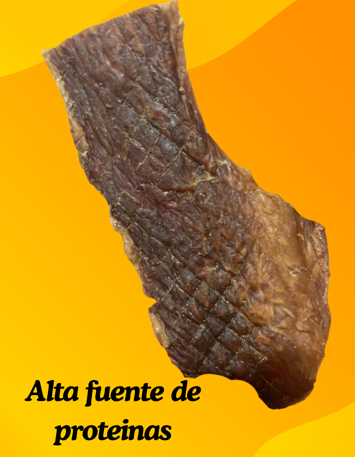 Carne Seca sonorense